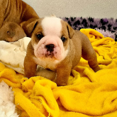 ALEJANDRO